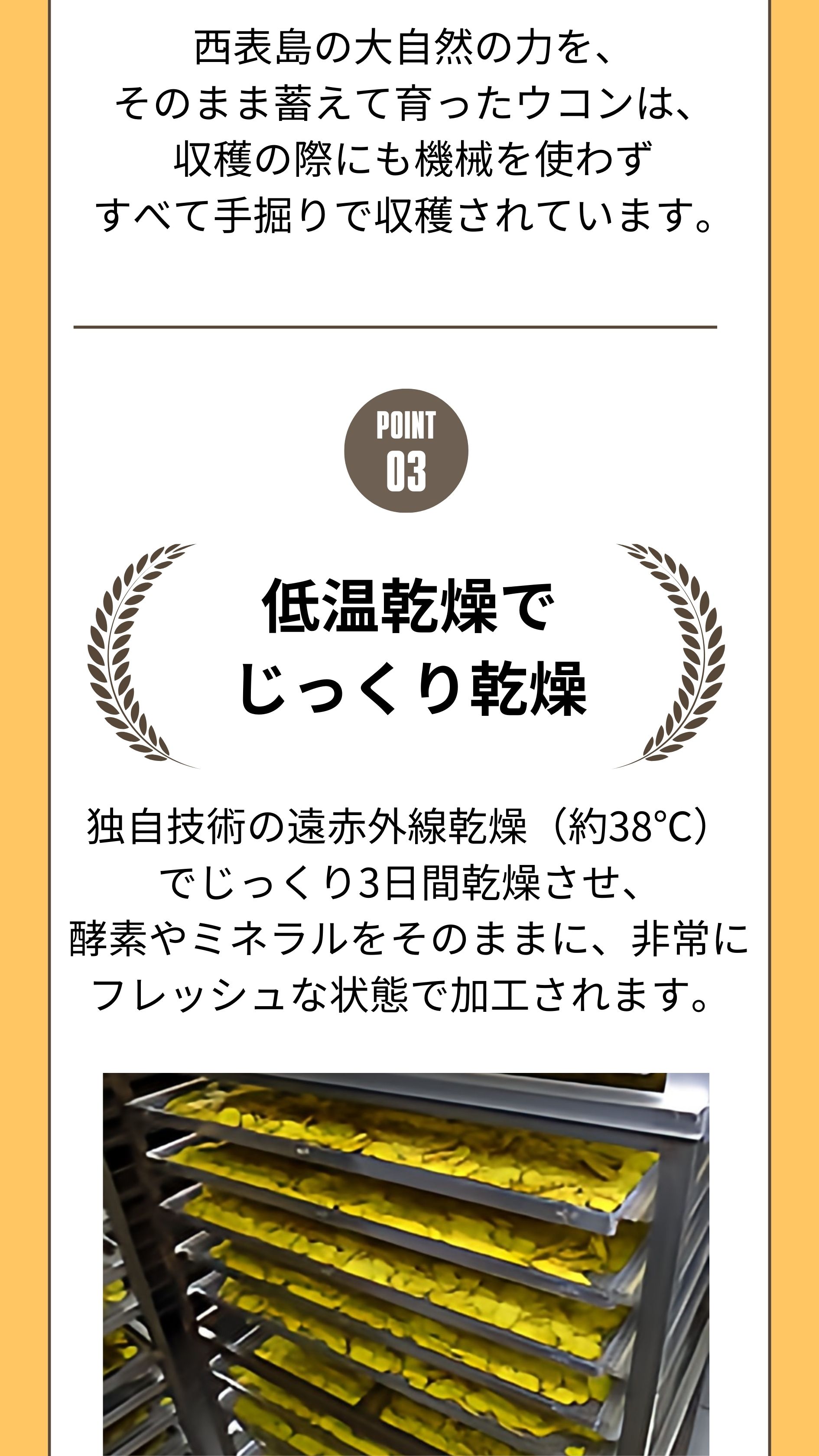 低温乾燥でじっくり乾燥